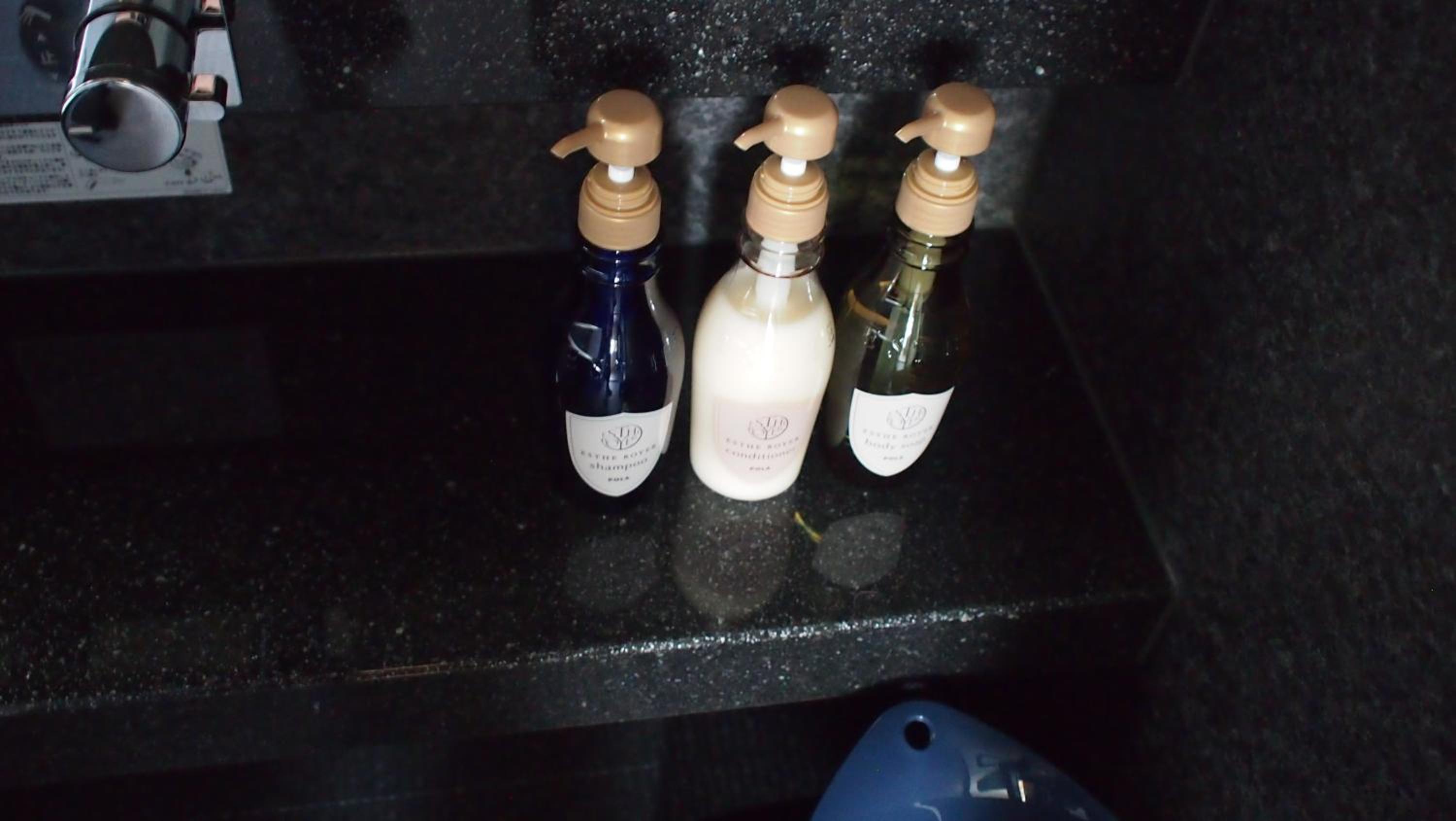 hotel sengokuhara 533