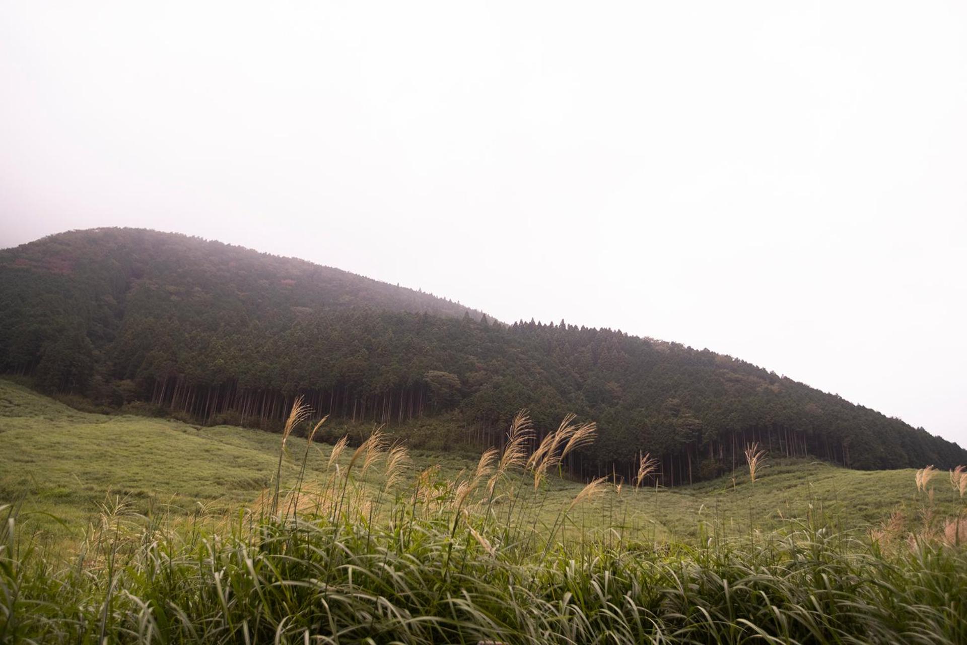 hotel sengokuhara 533