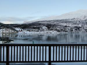 arctic inn