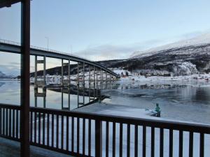 arctic inn
