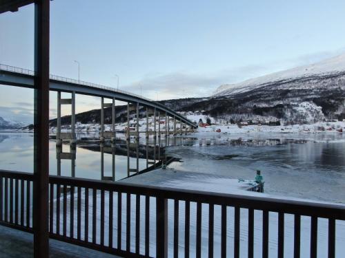 arctic inn