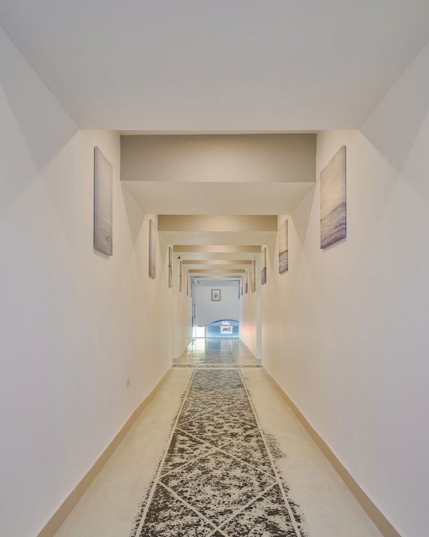 malecon premium plus