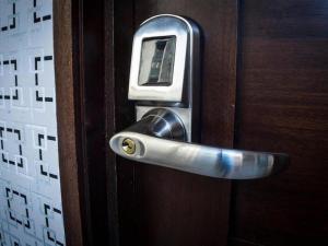 malecon cozy premium plus 5