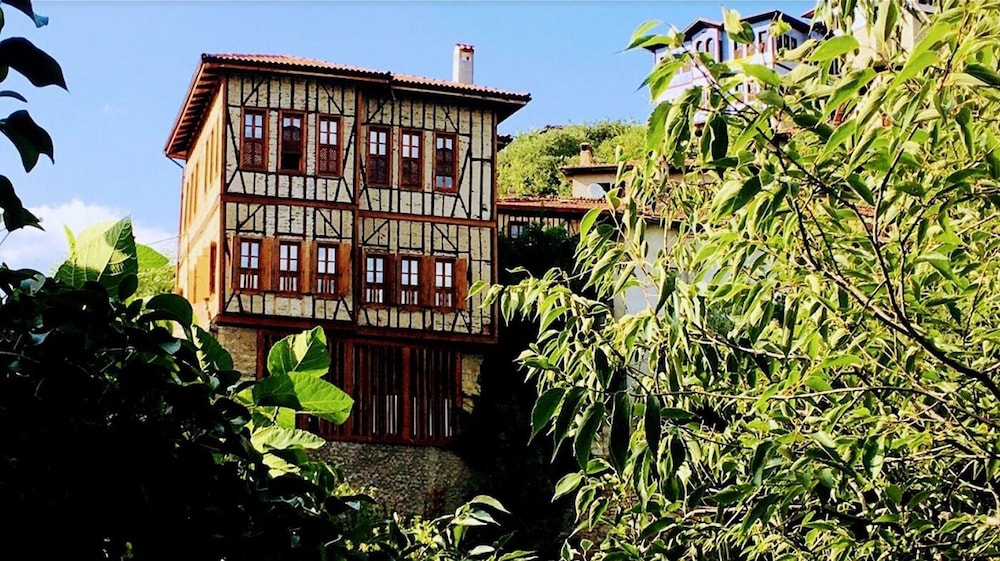 meymune valide konagi