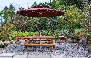 jeju like pension