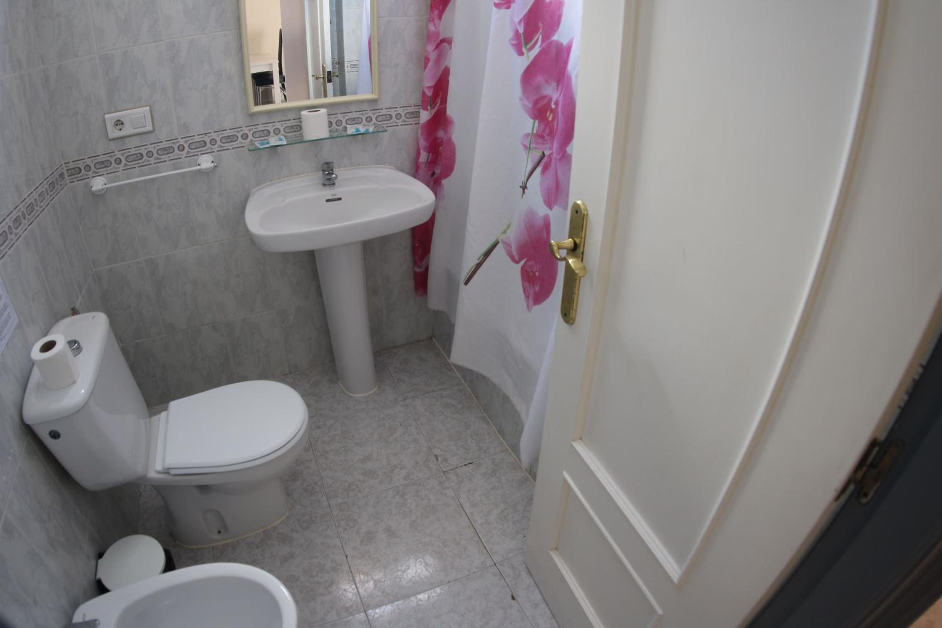apartamentos torrevieja puerto