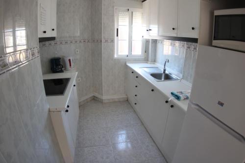 apartamentos torrevieja puerto