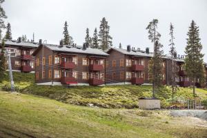 ski inn aurinkorinne