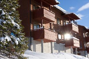 ski inn aurinkorinne