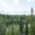 ski inn aurinkorinne