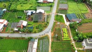 rooster mekong garden and villas