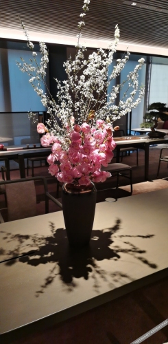 joya hotel hangzhou qianjiang new town
