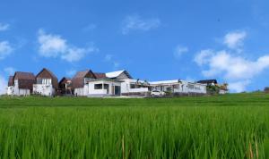 canggu