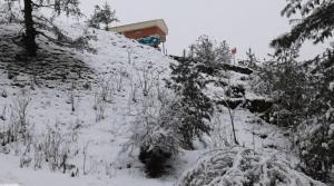 joshimath