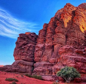 wadi rum memories camp