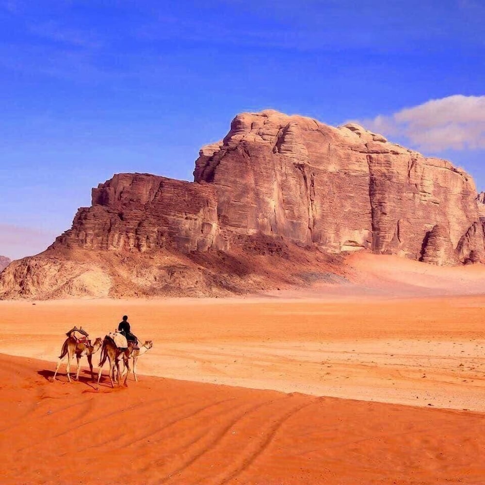 wadi rum memories camp