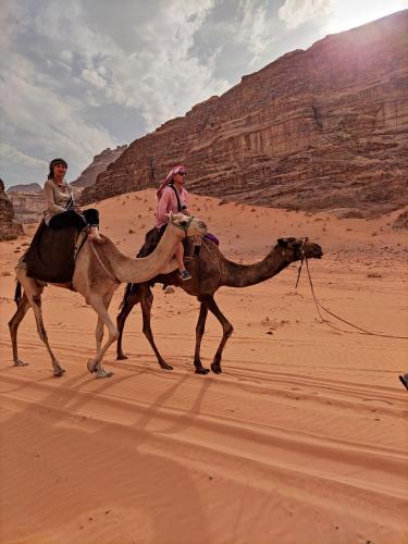 wadi rum memories camp