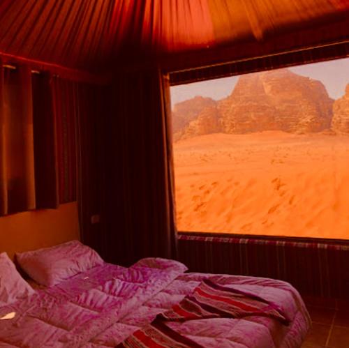 wadi rum memories camp