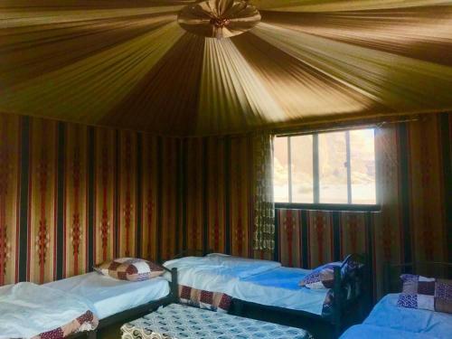 wadi rum memories camp