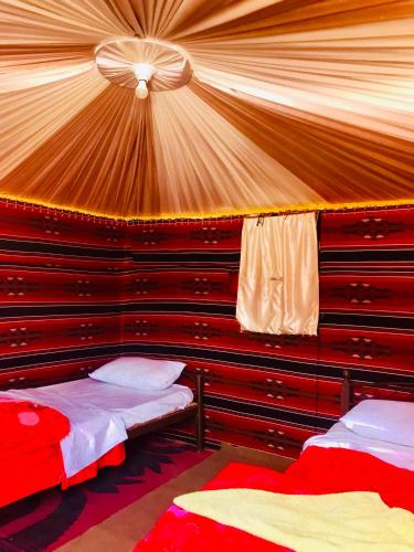 wadi rum memories camp