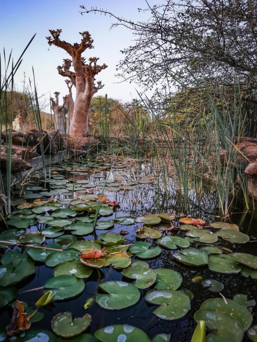 ohorongo game reserve