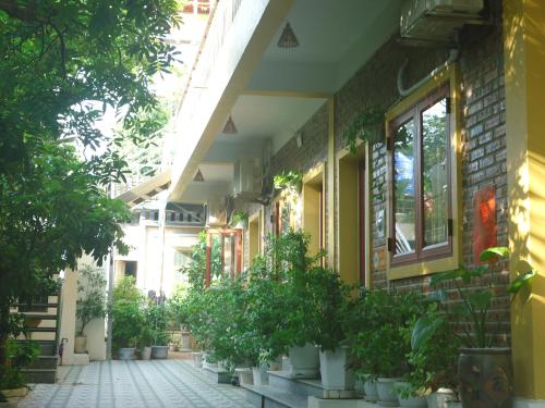 green space homestay