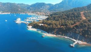 gocek