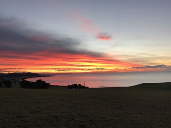 The Cove Tasmania,,4.5 star