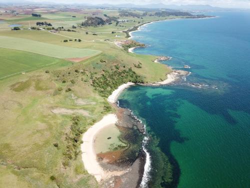 the cove tasmania