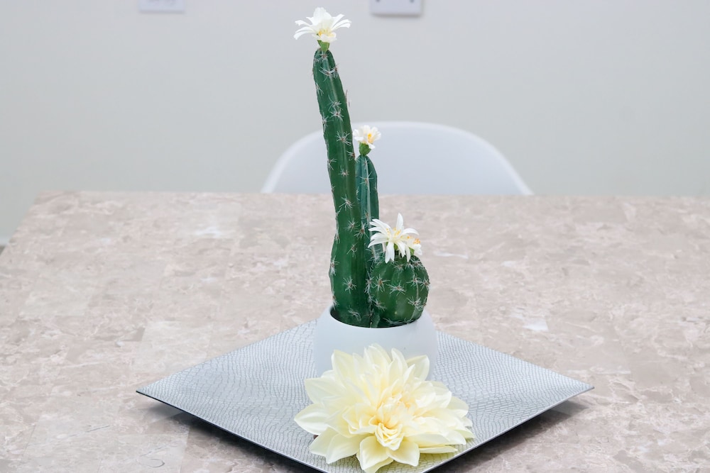 rh boutique hotel aruba
