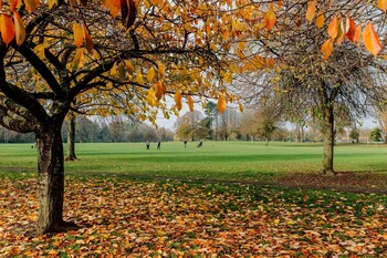 the suite 82 cathedral private parking