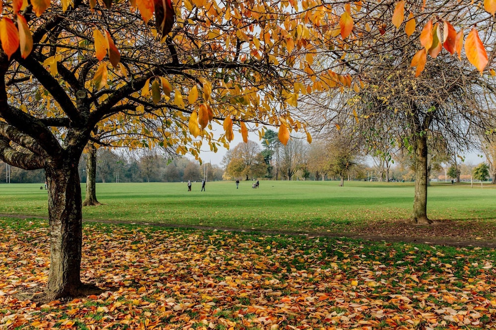 the suite 82 cathedral private parking