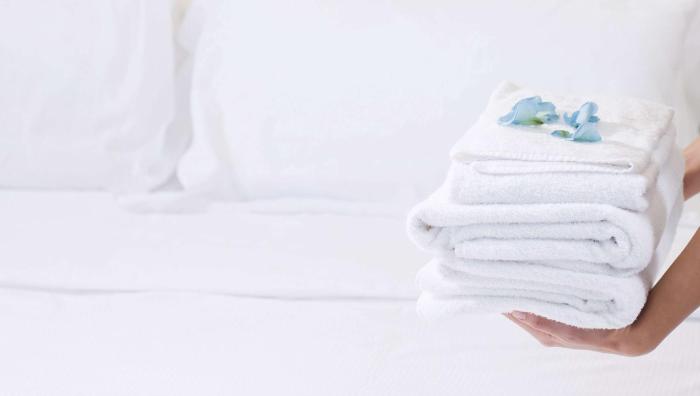 magnuson hotel bradenton