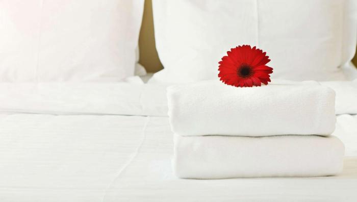 magnuson hotel bradenton