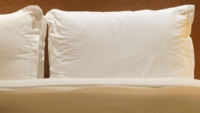 magnuson hotel bradenton