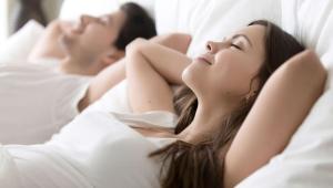 magnuson hotel bradenton