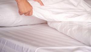 magnuson hotel bradenton