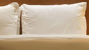 magnuson hotel bradenton