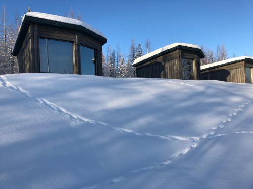 Bear Centre,,3.5 star