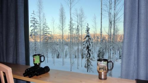 Bear Centre,,3.5 star