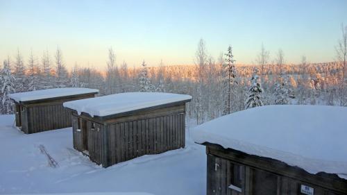 Bear Centre,,3.5 star