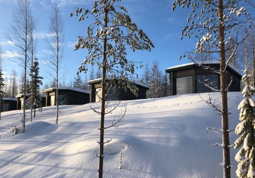 Bear Centre,,3.5 star