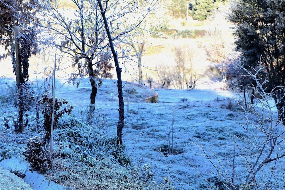 fornos de algodres