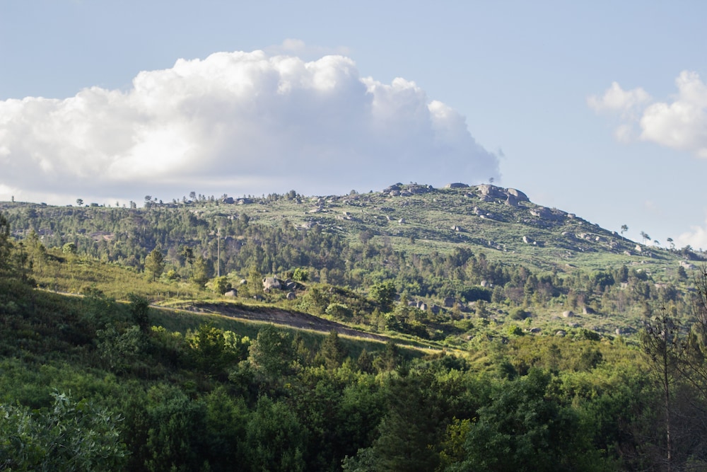 fornos de algodres