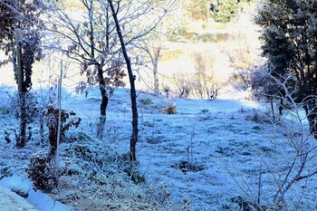 fornos de algodres