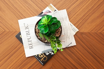 stayandco serviced apartments crows nest