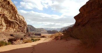 wadi rum tribe