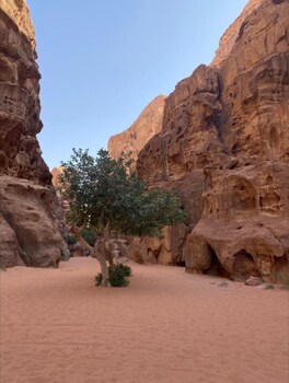 wadi rum tribe