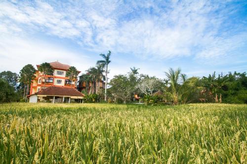suly vegetarian resort
