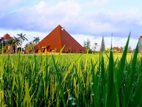 suly vegetarian resort